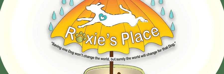 roxies-place-animal-sanctuary-handrail-fabrication-and-installation